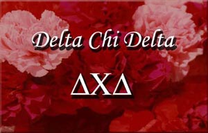 Sorority carnations