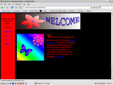 Organized Chaos Website