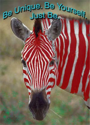 An Unique Zebra